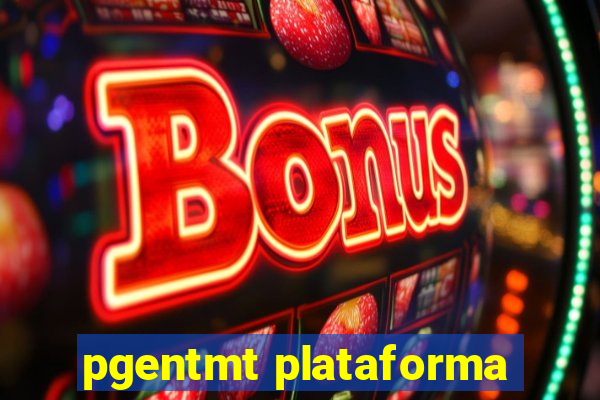 pgentmt plataforma